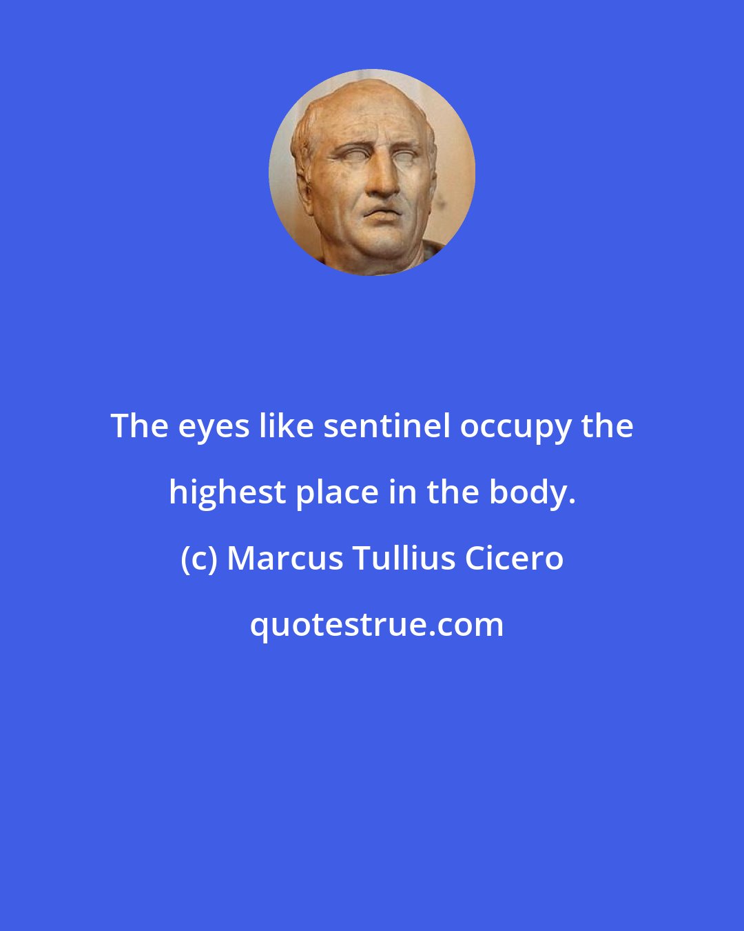 Marcus Tullius Cicero: The eyes like sentinel occupy the highest place in the body.