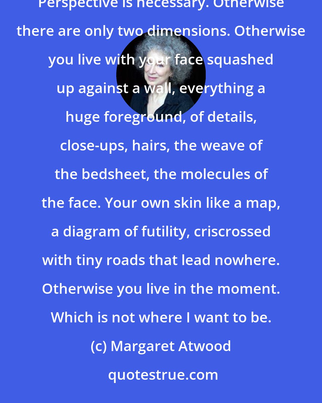 Margaret Atwood: What I need is perspective. The illusion of depth, created by a frame, the arrangement of shapes on a flat surface. Perspective is necessary. Otherwise there are only two dimensions. Otherwise you live with your face squashed up against a wall, everything a huge foreground, of details, close-ups, hairs, the weave of the bedsheet, the molecules of the face. Your own skin like a map, a diagram of futility, criscrossed with tiny roads that lead nowhere. Otherwise you live in the moment. Which is not where I want to be.