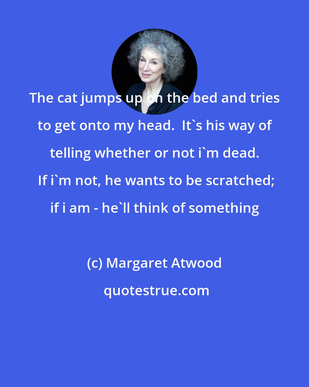 Margaret Atwood: The cat jumps up on the bed and tries to get onto my head.  It's his way of telling whether or not i'm dead.  If i'm not, he wants to be scratched; if i am - he'll think of something