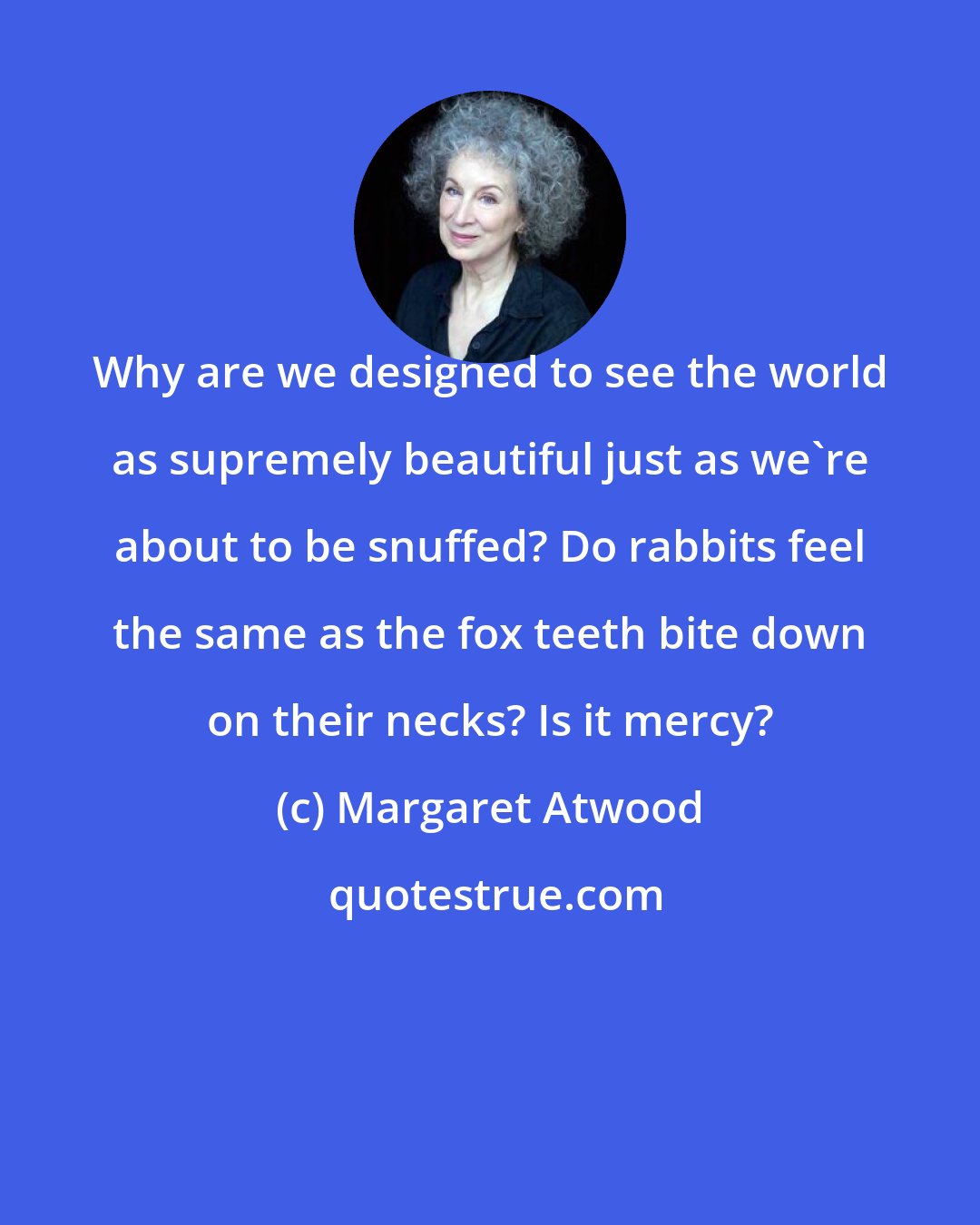 Margaret Atwood: Why are we designed to see the world as supremely beautiful just as we're about to be snuffed? Do rabbits feel the same as the fox teeth bite down on their necks? Is it mercy?