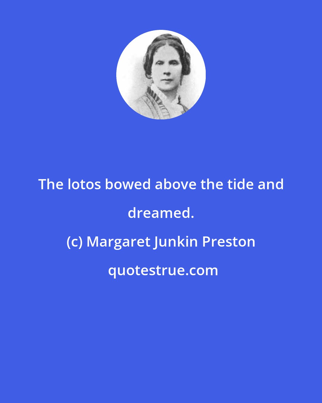 Margaret Junkin Preston: The lotos bowed above the tide and dreamed.