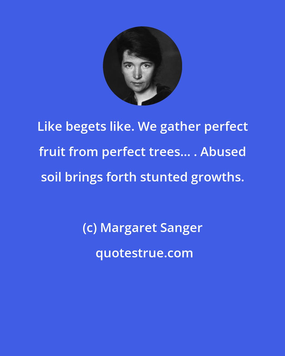 Margaret Sanger: Like begets like. We gather perfect fruit from perfect trees... . Abused soil brings forth stunted growths.