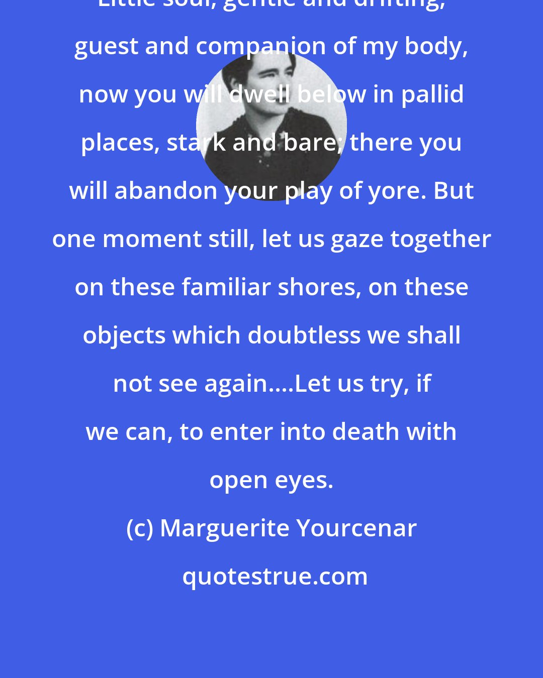 Marguerite Yourcenar: Little soul, gentle and drifting, guest and companion of my body, now you will dwell below in pallid places, stark and bare; there you will abandon your play of yore. But one moment still, let us gaze together on these familiar shores, on these objects which doubtless we shall not see again....Let us try, if we can, to enter into death with open eyes.