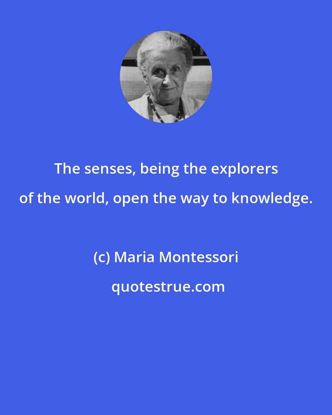 Maria Montessori: The senses, being the explorers of the world, open the way to knowledge.