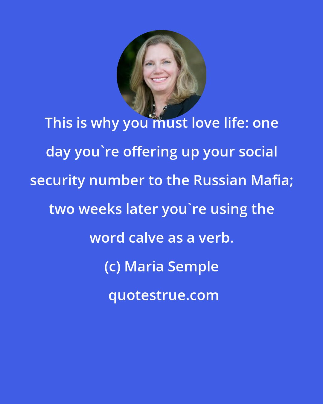 Maria Semple: This is why you must love life: one day you're offering up your social security number to the Russian Mafia; two weeks later you're using the word calve as a verb.