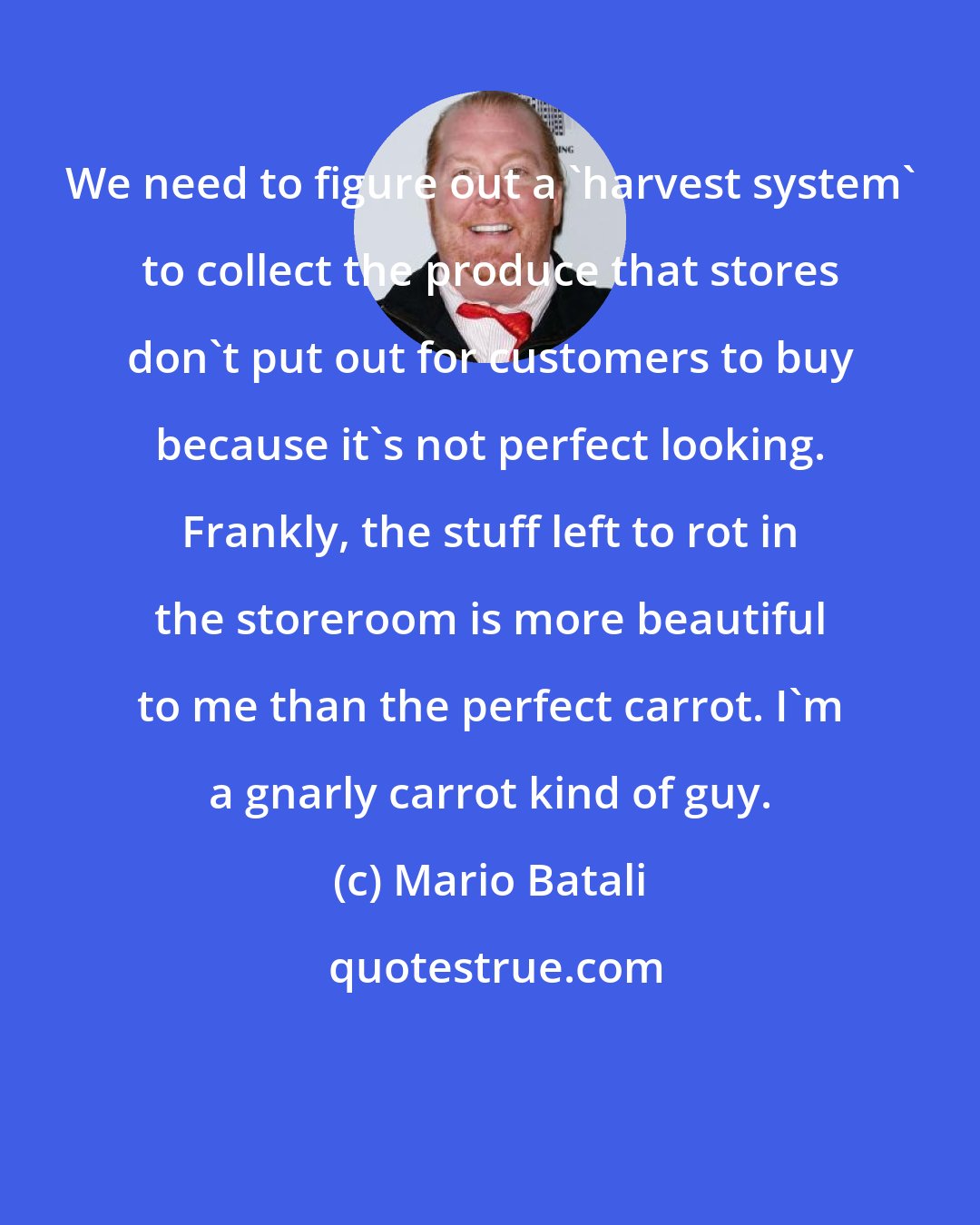 Mario Batali: We need to figure out a 'harvest system' to collect the produce that stores don't put out for customers to buy because it's not perfect looking. Frankly, the stuff left to rot in the storeroom is more beautiful to me than the perfect carrot. I'm a gnarly carrot kind of guy.