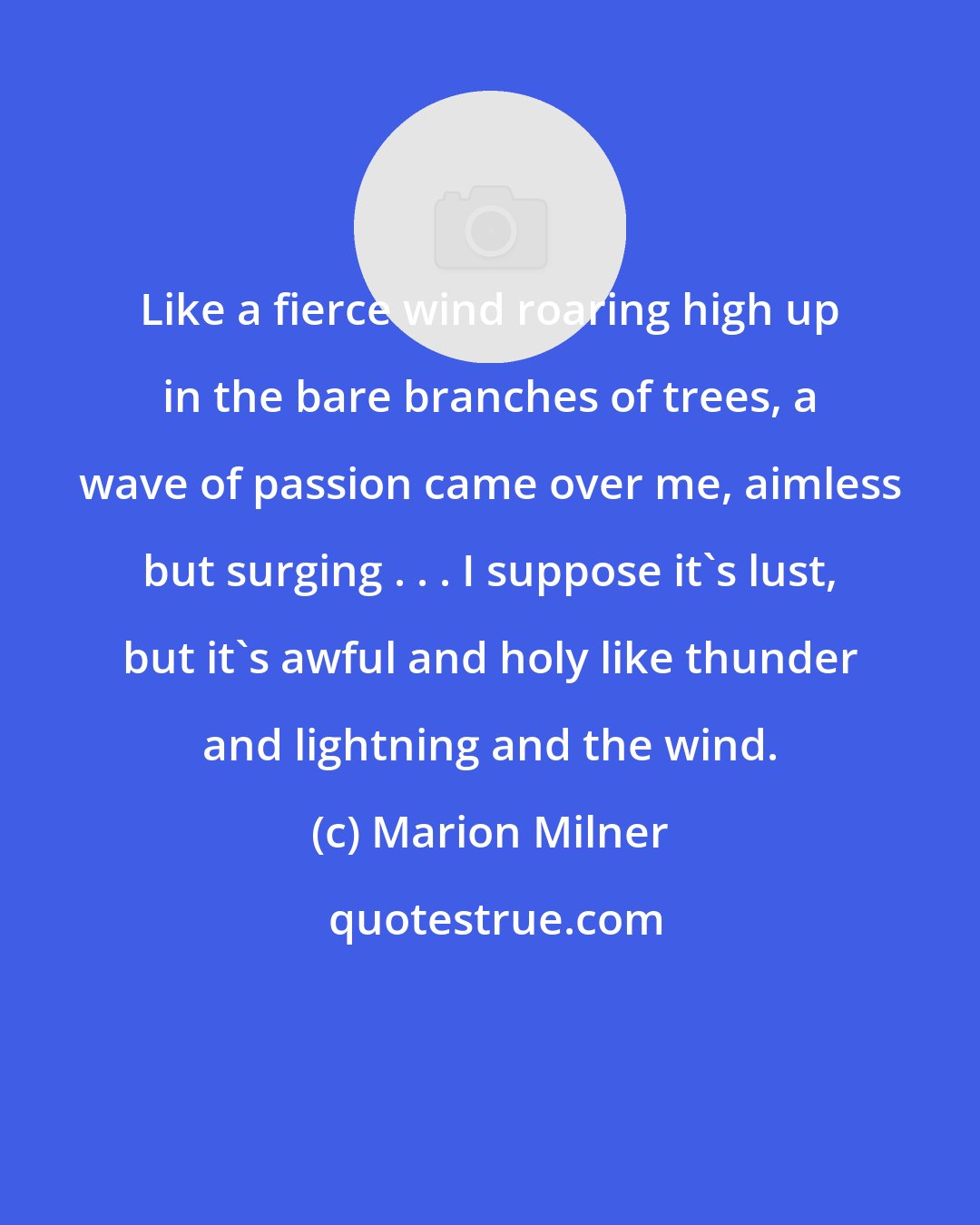 Marion Milner: Like a fierce wind roaring high up in the bare branches of trees, a wave of passion came over me, aimless but surging . . . I suppose it's lust, but it's awful and holy like thunder and lightning and the wind.