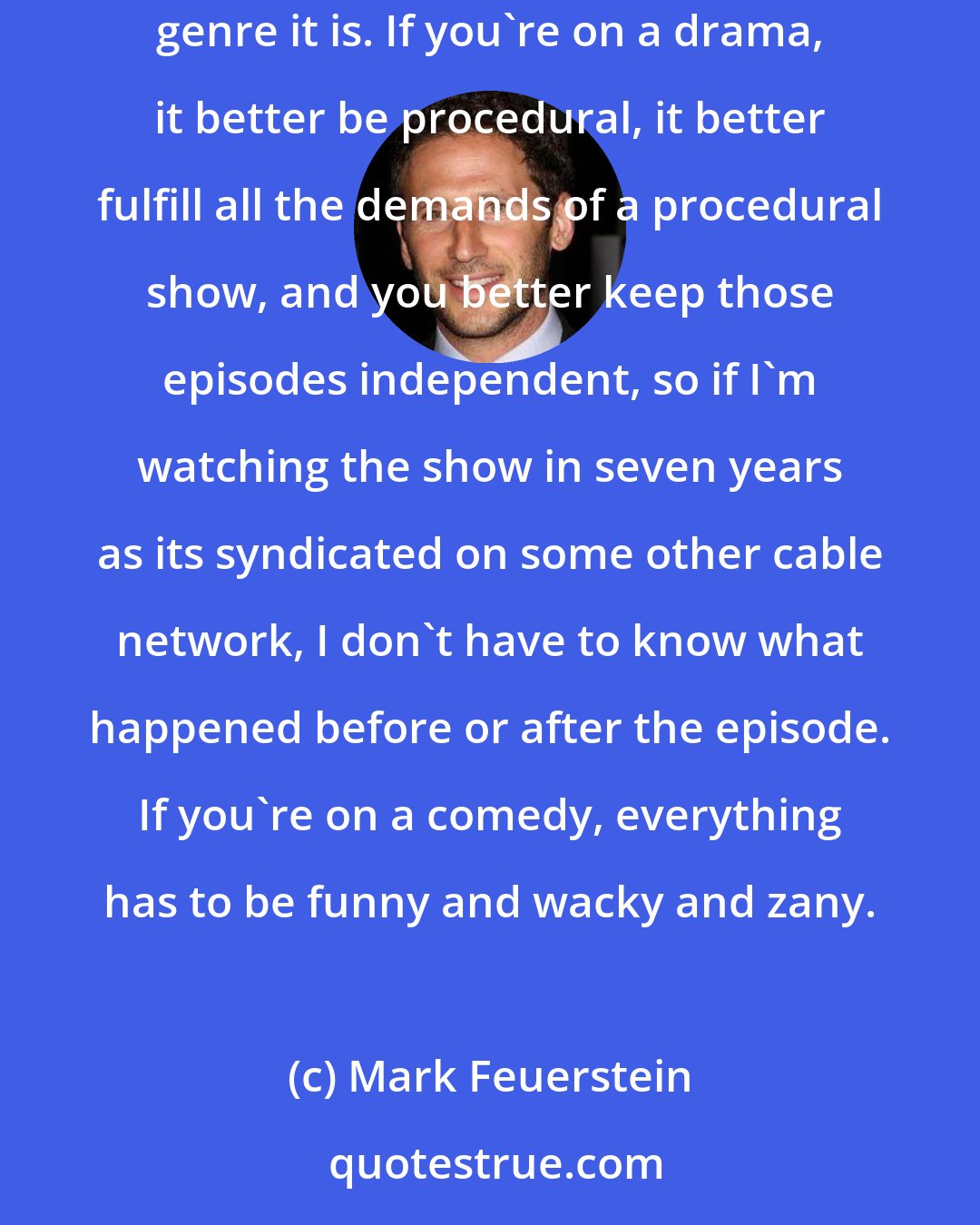 Mark Feuerstein: I've been on my share of network dramas and comedies, and the problem sometimes in a network is they have a single-minded focus on making the show true to whatever genre it is. If you're on a drama, it better be procedural, it better fulfill all the demands of a procedural show, and you better keep those episodes independent, so if I'm watching the show in seven years as its syndicated on some other cable network, I don't have to know what happened before or after the episode. If you're on a comedy, everything has to be funny and wacky and zany.