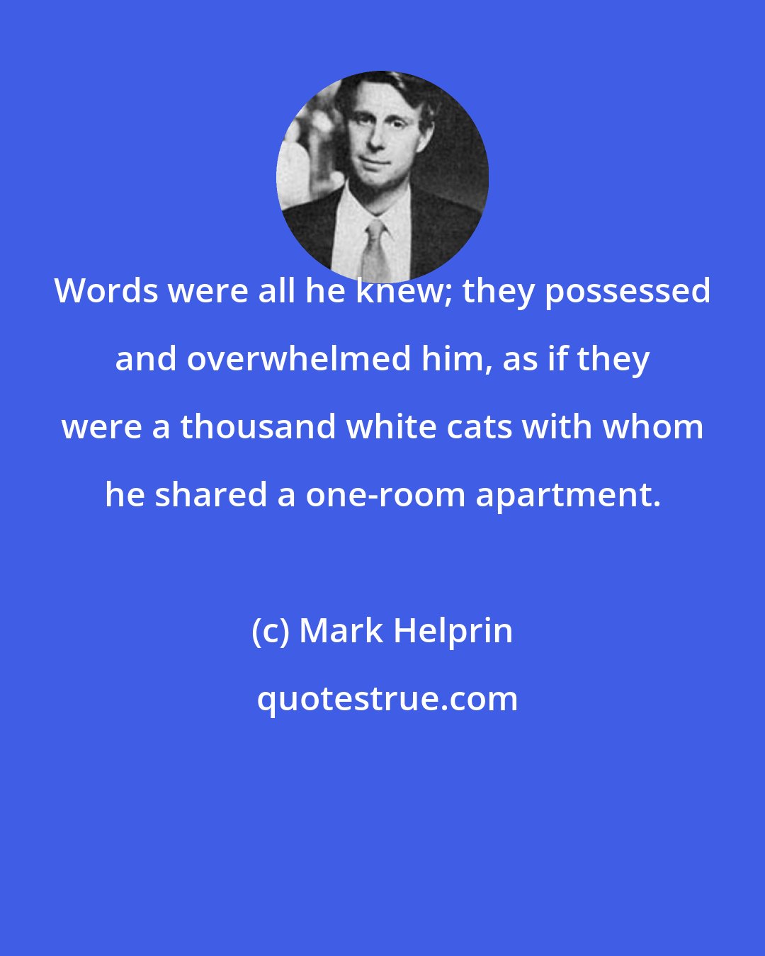 Mark Helprin: Words were all he knew; they possessed and overwhelmed him, as if they were a thousand white cats with whom he shared a one-room apartment.