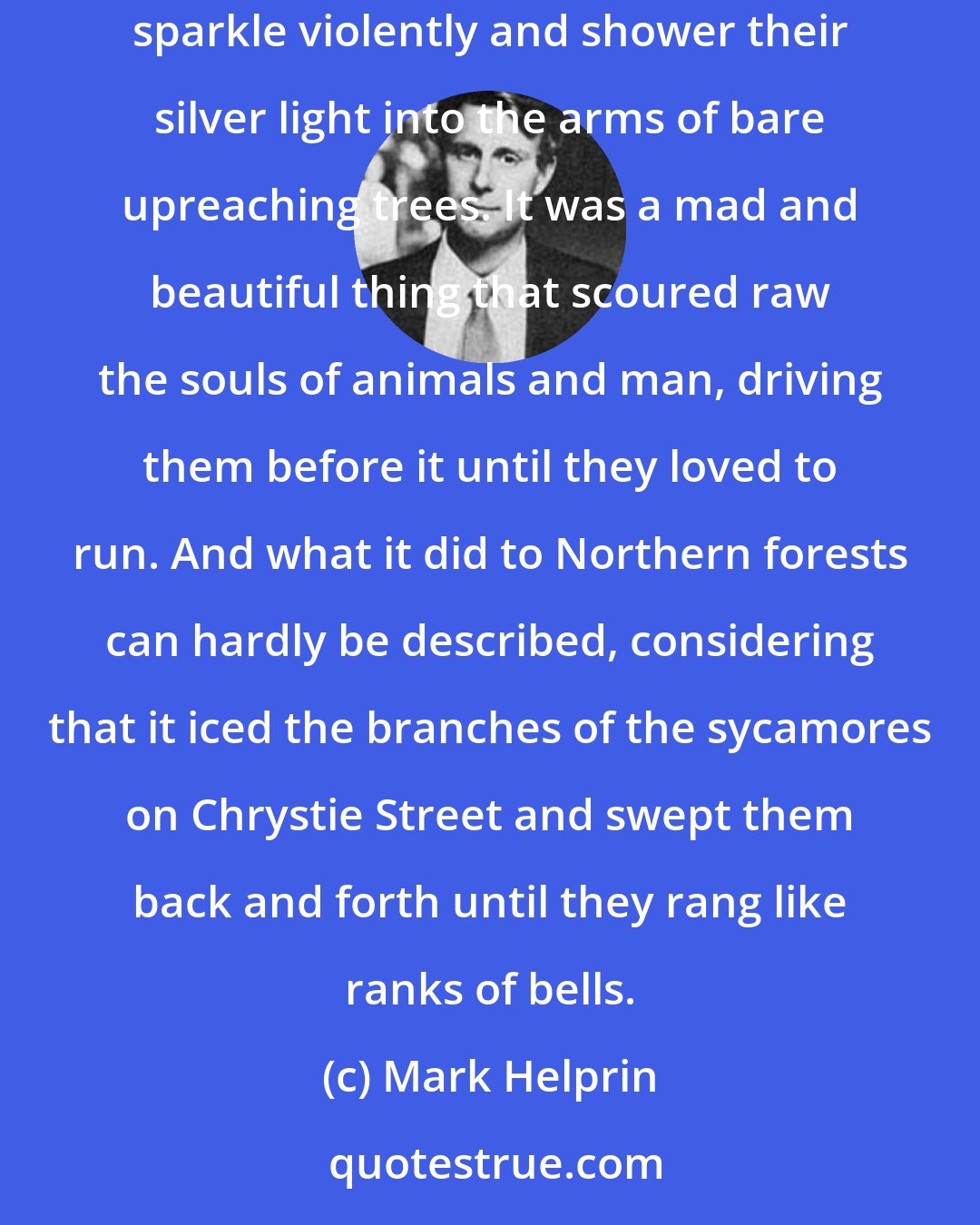 Mark Helprin: Winter then in its early and clear stages, was a purifying engine that ran unhindered over city and country, alerting the stars to sparkle violently and shower their silver light into the arms of bare upreaching trees. It was a mad and beautiful thing that scoured raw the souls of animals and man, driving them before it until they loved to run. And what it did to Northern forests can hardly be described, considering that it iced the branches of the sycamores on Chrystie Street and swept them back and forth until they rang like ranks of bells.