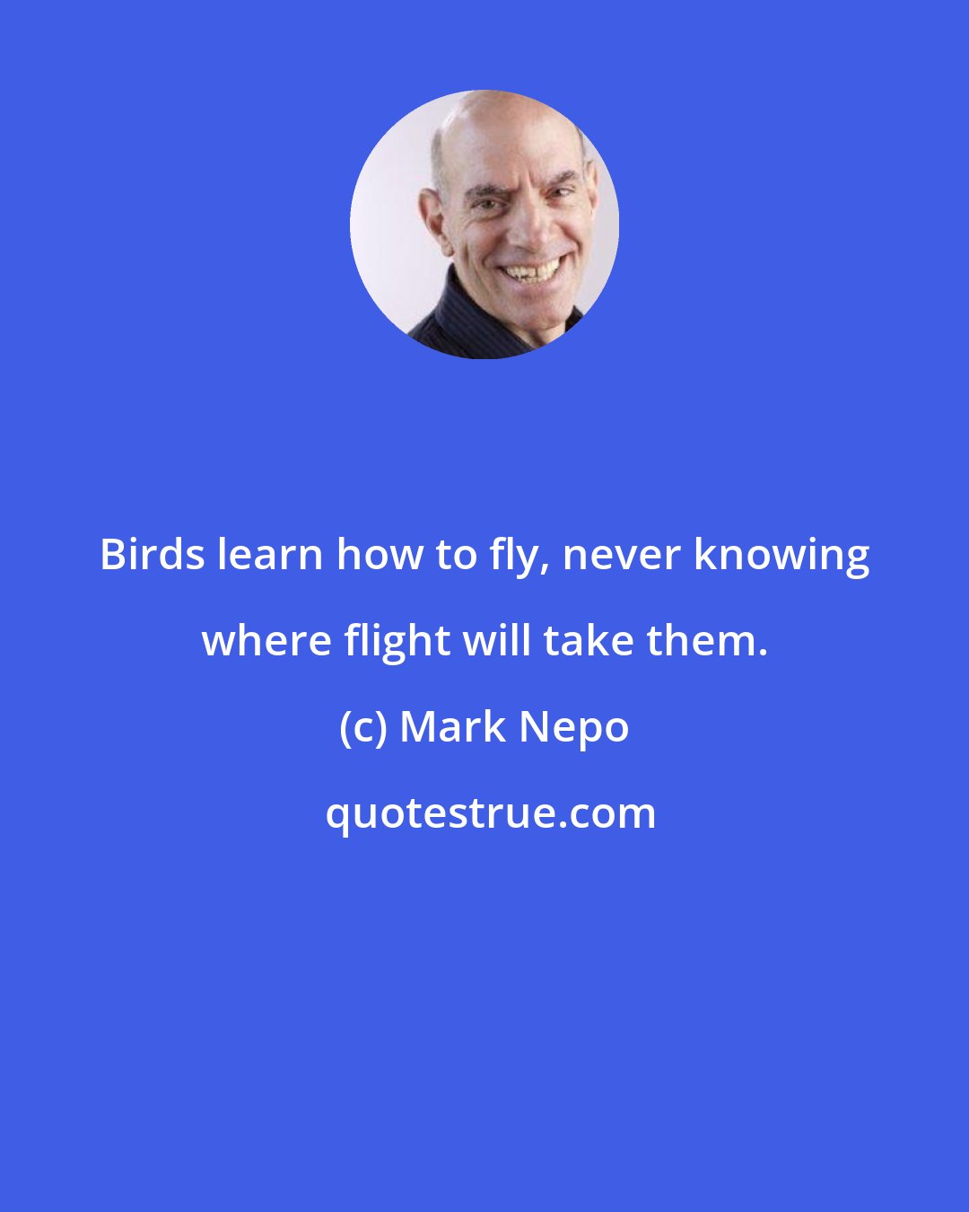 Mark Nepo: Birds learn how to fly, never knowing where flight will take them.