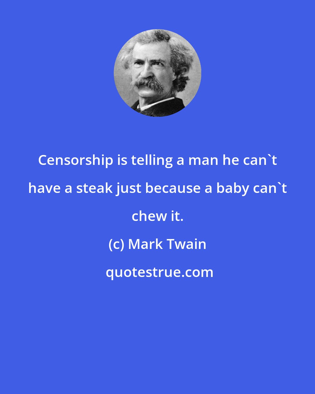 Mark Twain: Censorship is telling a man he can't have a steak just because a baby can't chew it.