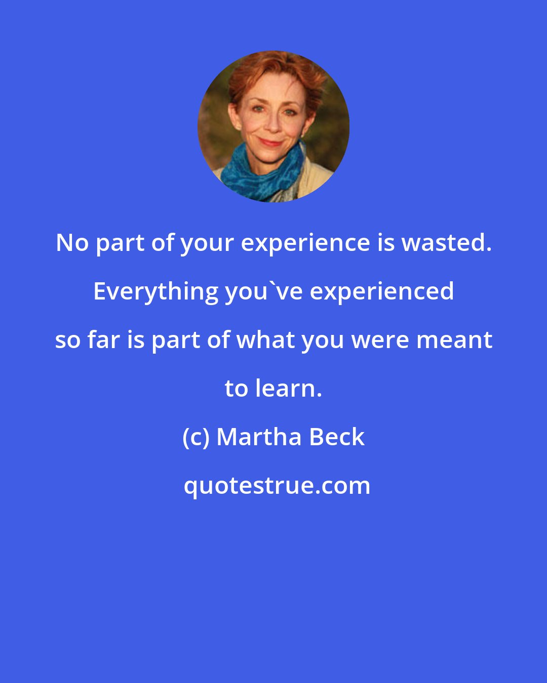 Martha Beck: No part of your experience is wasted. Everything you've experienced so far is part of what you were meant to learn.