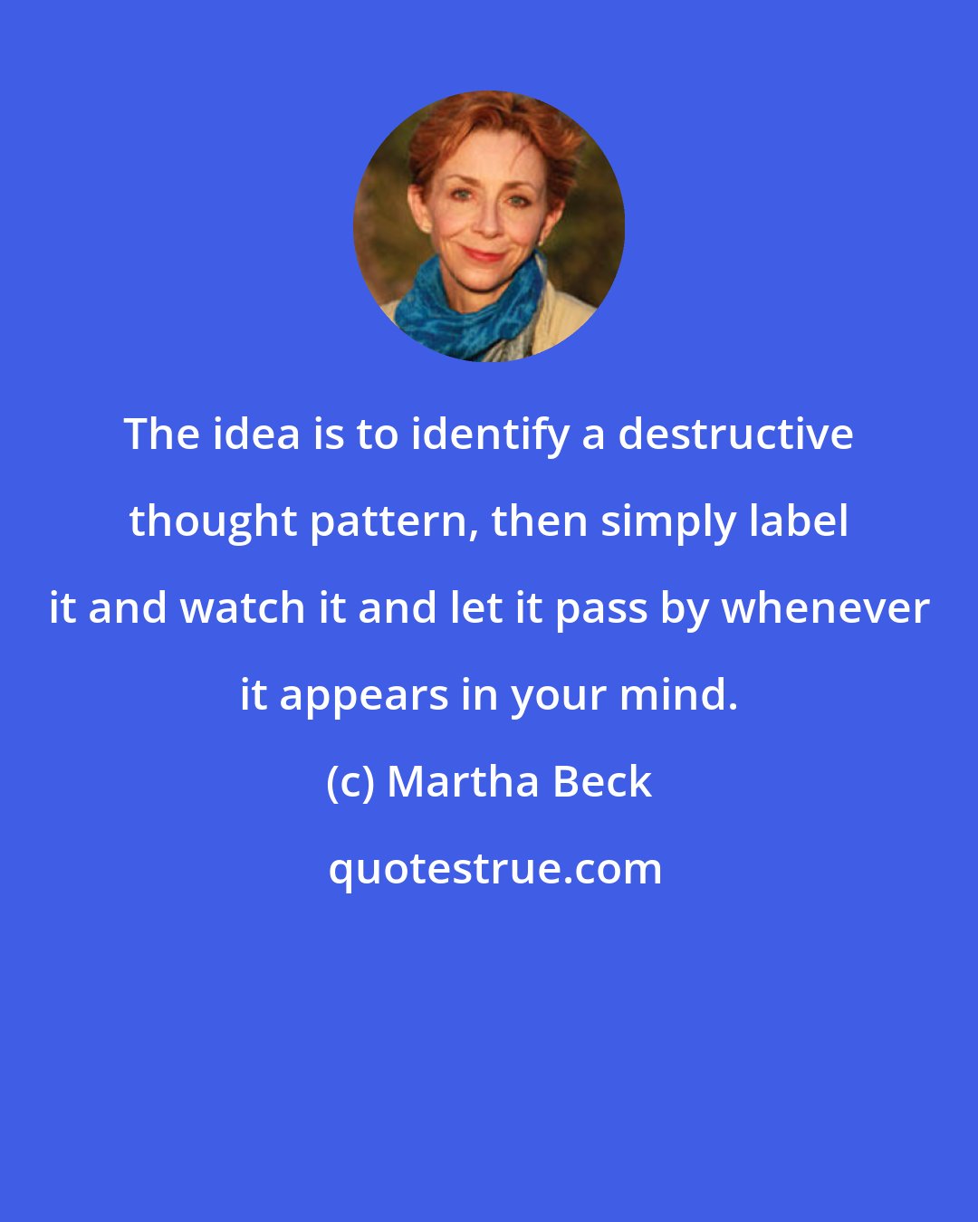 Martha Beck: The idea is to identify a destructive thought pattern, then simply label it and watch it and let it pass by whenever it appears in your mind.