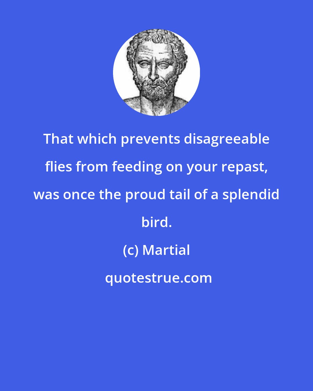 Martial: That which prevents disagreeable flies from feeding on your repast, was once the proud tail of a splendid bird.