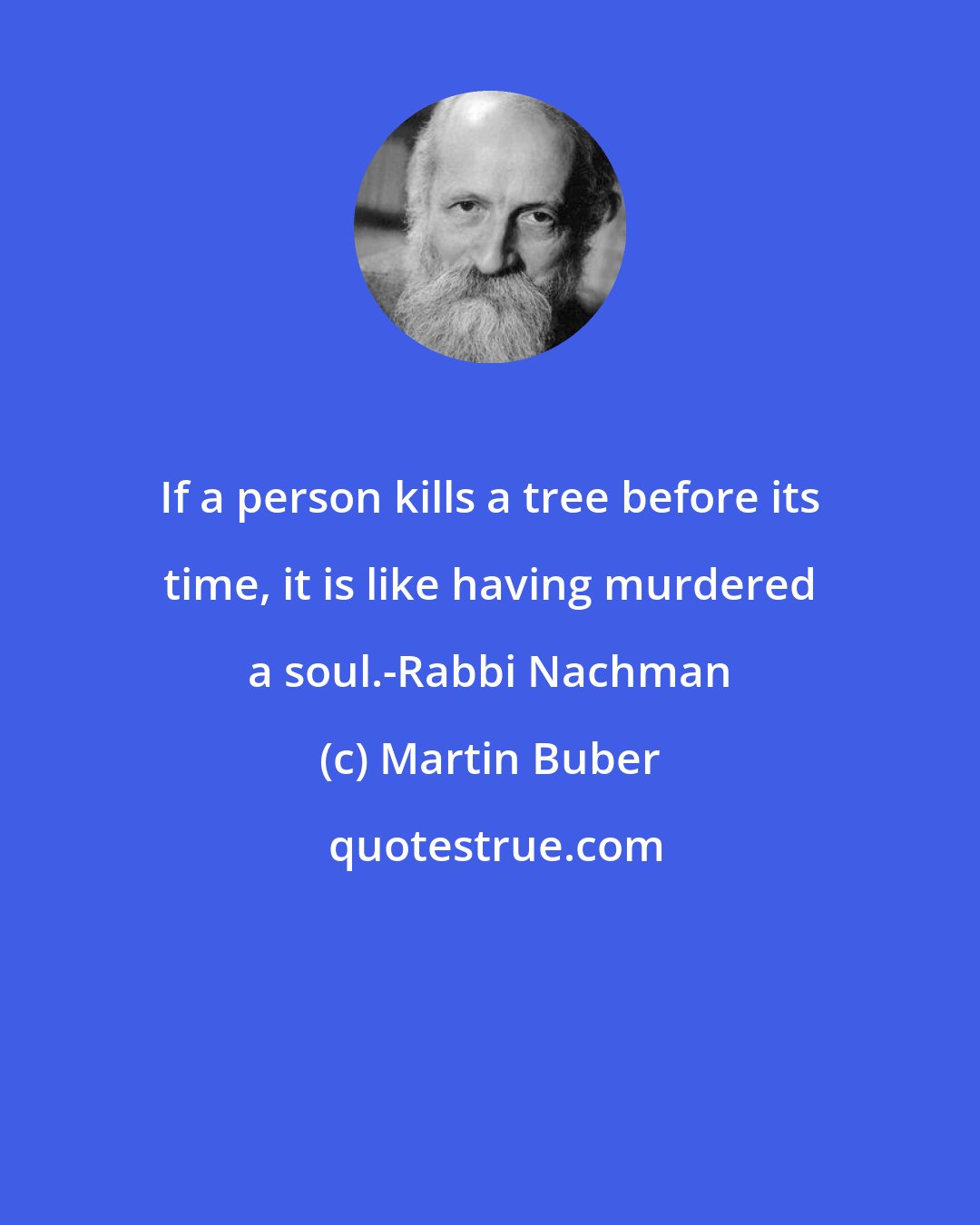 Martin Buber: If a person kills a tree before its time, it is like having murdered a soul.-Rabbi Nachman