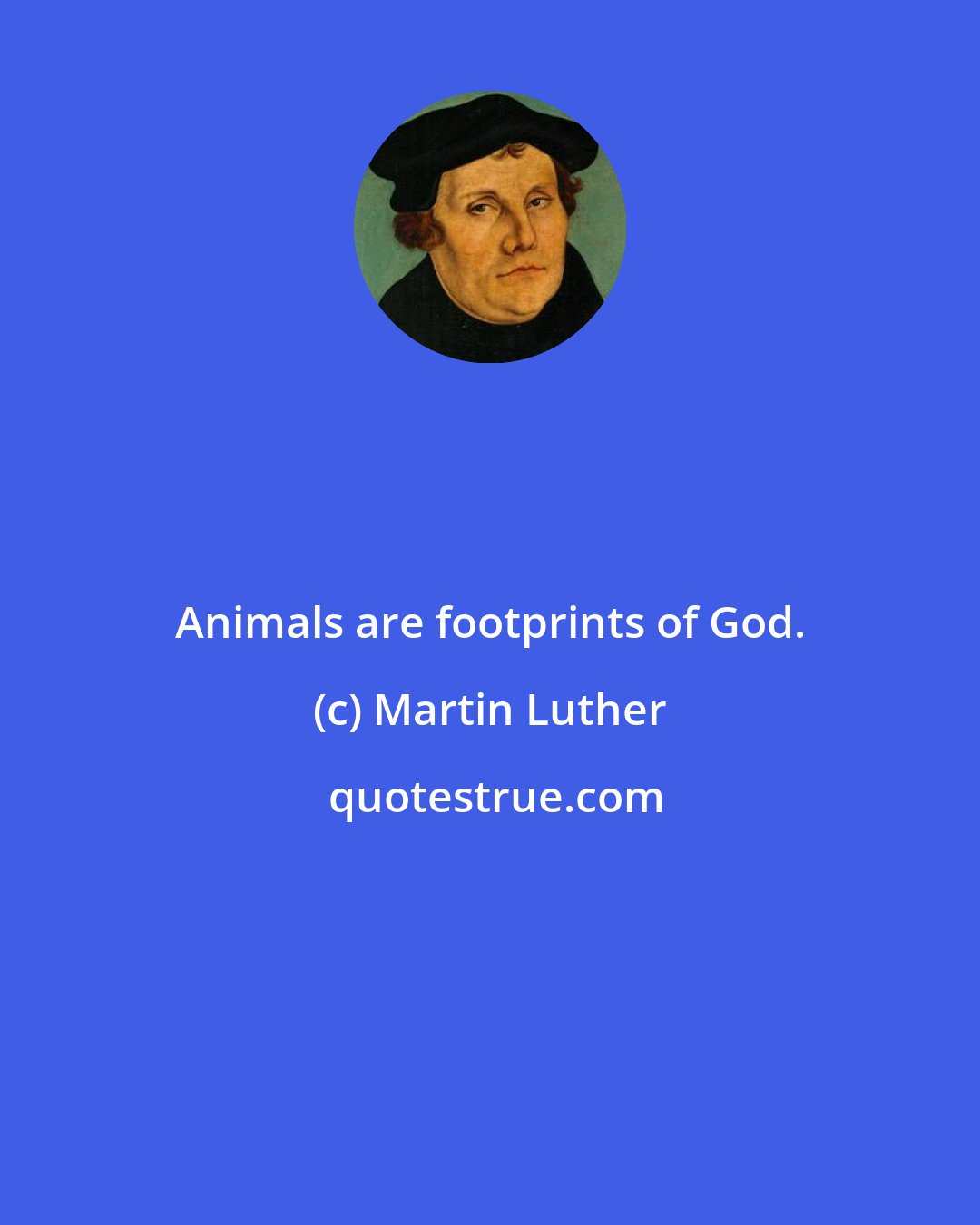 Martin Luther: Animals are footprints of God.