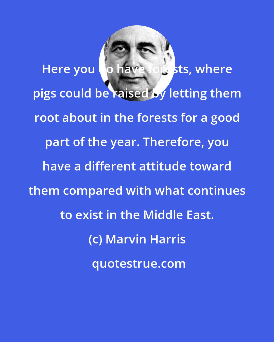 Marvin Harris: Here you do have forests, where pigs could be raised by letting them root about in the forests for a good part of the year. Therefore, you have a different attitude toward them compared with what continues to exist in the Middle East.