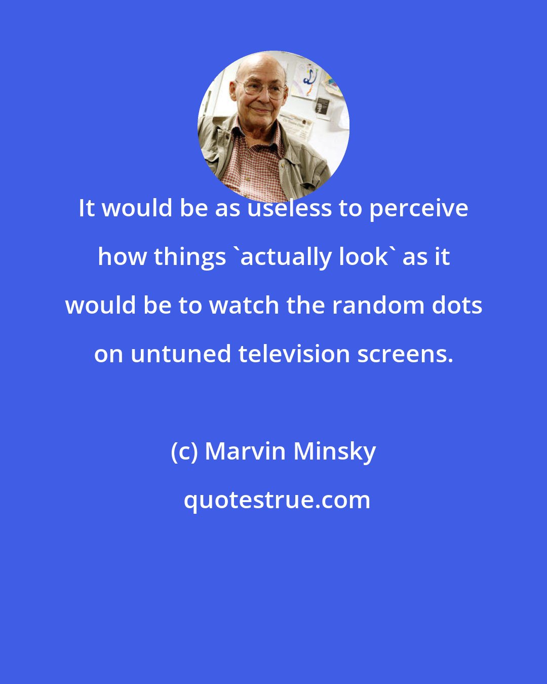 Marvin Minsky: It would be as useless to perceive how things 'actually look' as it would be to watch the random dots on untuned television screens.