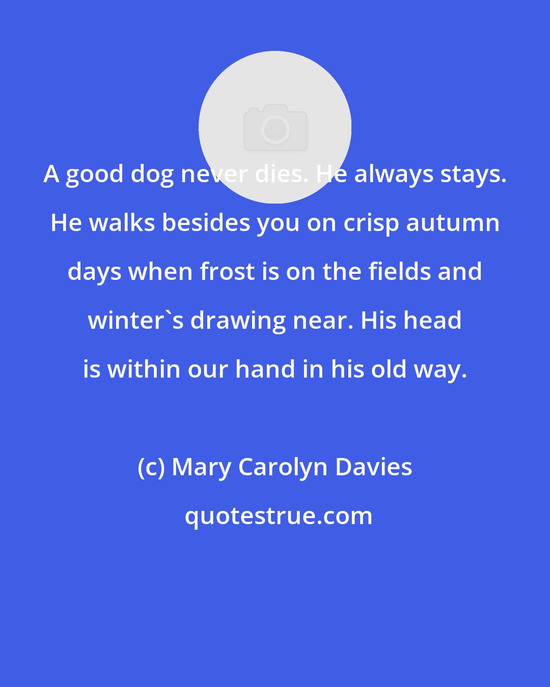 Mary Carolyn Davies: A good dog never dies. He always stays. He walks besides you on crisp autumn days when frost is on the fields and winter's drawing near. His head is within our hand in his old way.