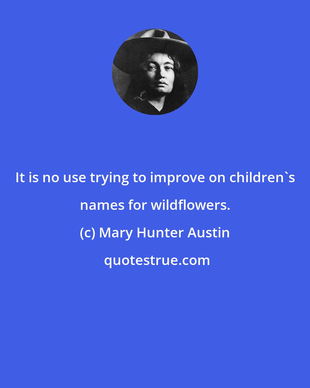 Mary Hunter Austin: It is no use trying to improve on children's names for wildflowers.