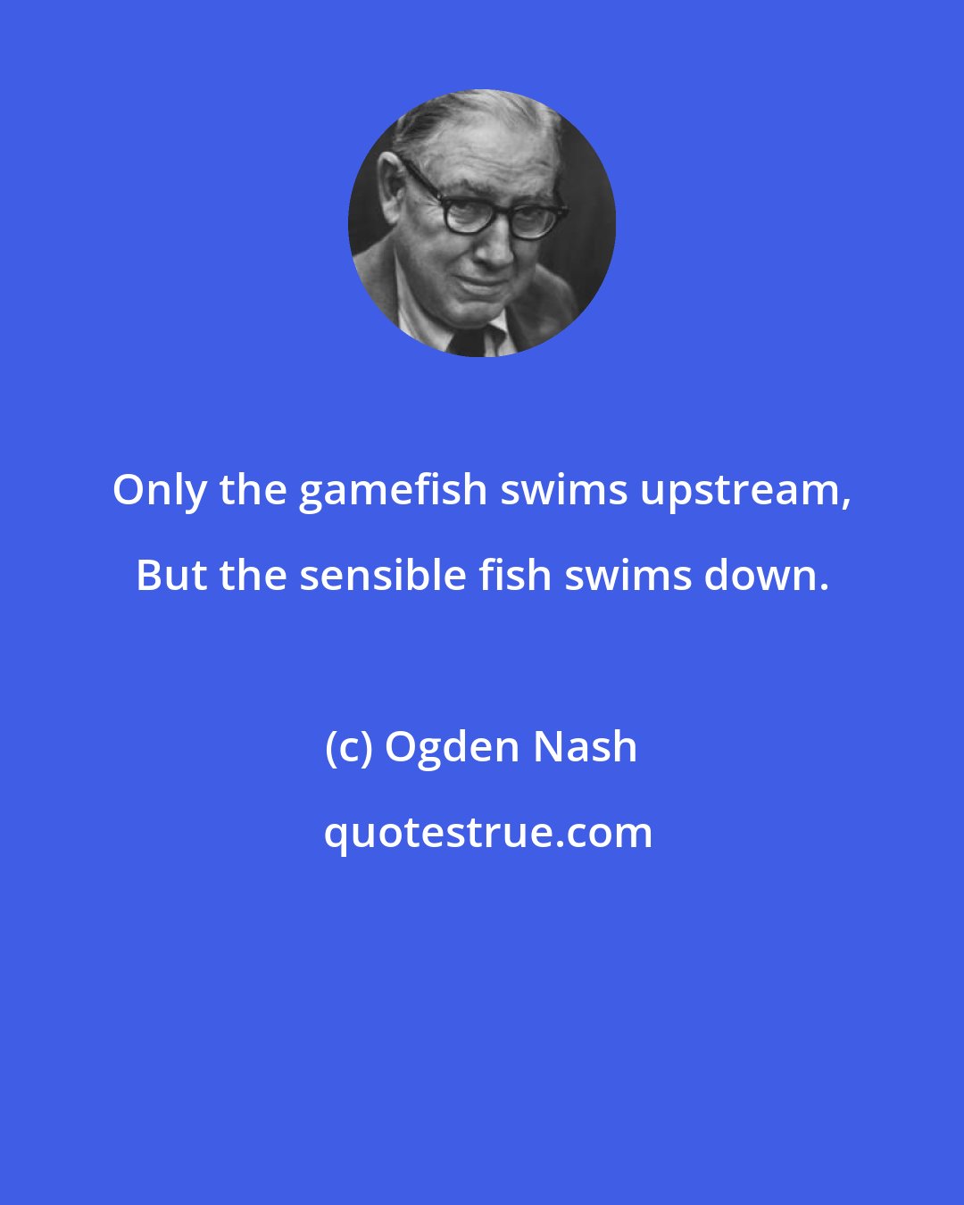 Ogden Nash: Only the gamefish swims upstream, But the sensible fish swims down.