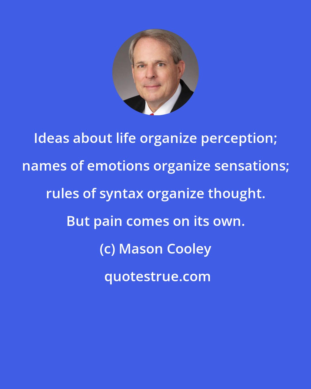 Mason Cooley: Ideas about life organize perception; names of emotions organize sensations; rules of syntax organize thought. But pain comes on its own.