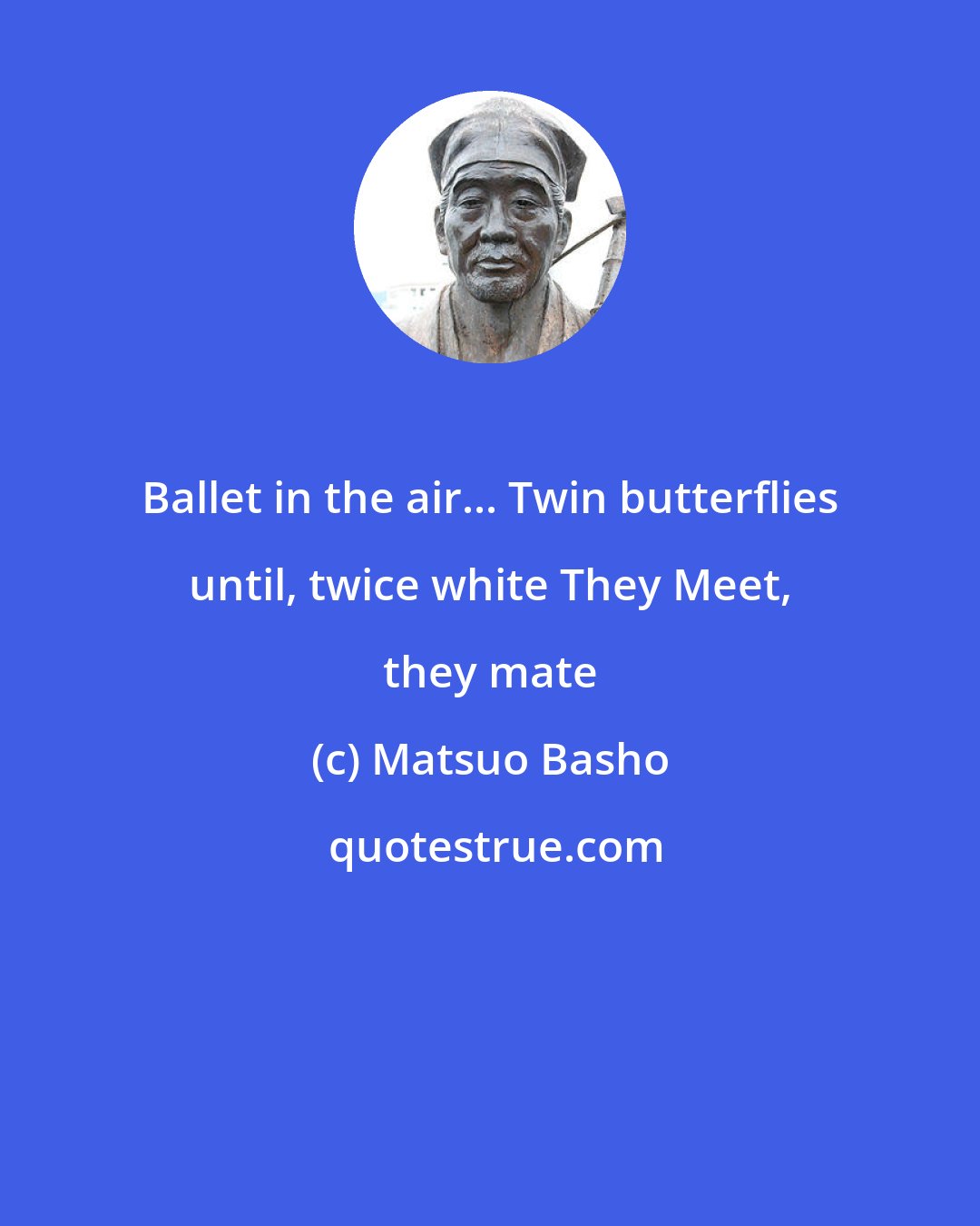 Matsuo Basho: Ballet in the air... Twin butterflies until, twice white They Meet, they mate