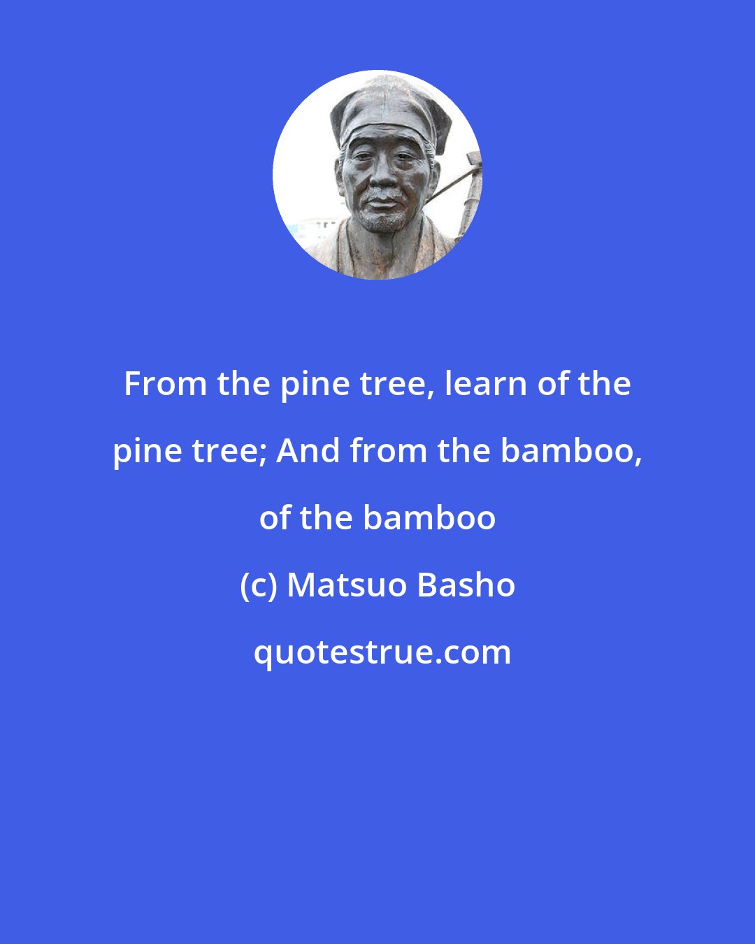 Matsuo Basho: From the pine tree, learn of the pine tree; And from the bamboo, of the bamboo