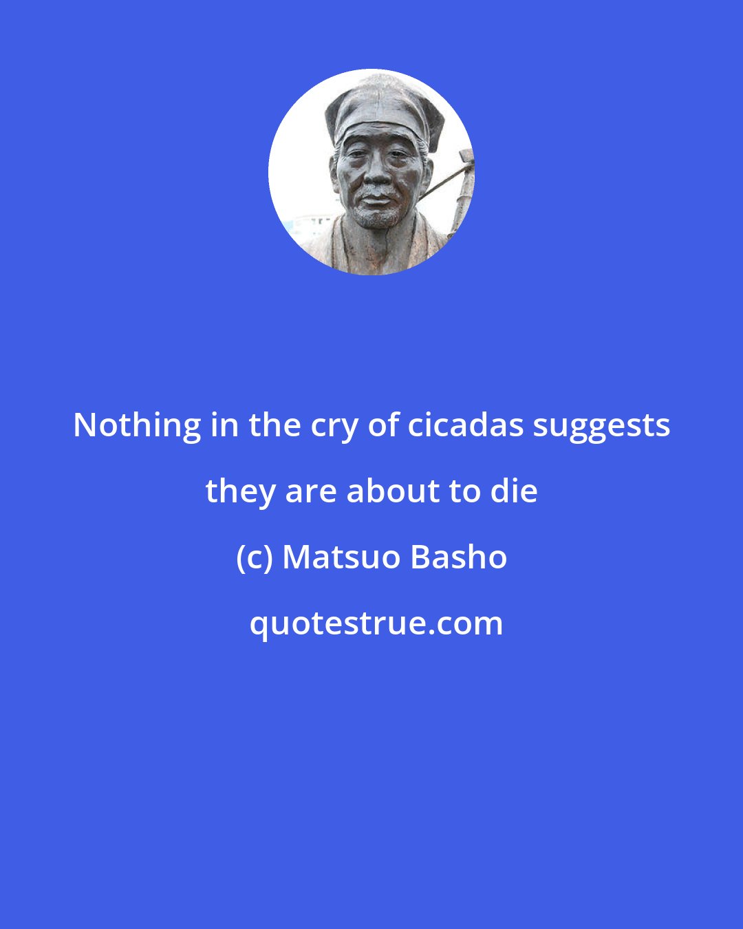 Matsuo Basho: Nothing in the cry of cicadas suggests they are about to die