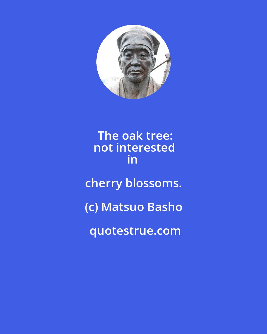 Matsuo Basho: The oak tree:
not interested
in cherry blossoms.