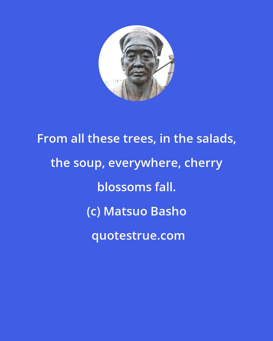 Matsuo Basho: From all these trees, in the salads, the soup, everywhere, cherry blossoms fall.