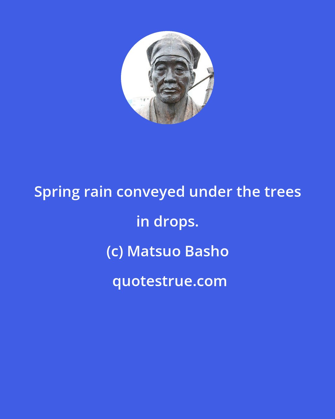 Matsuo Basho: Spring rain conveyed under the trees in drops.