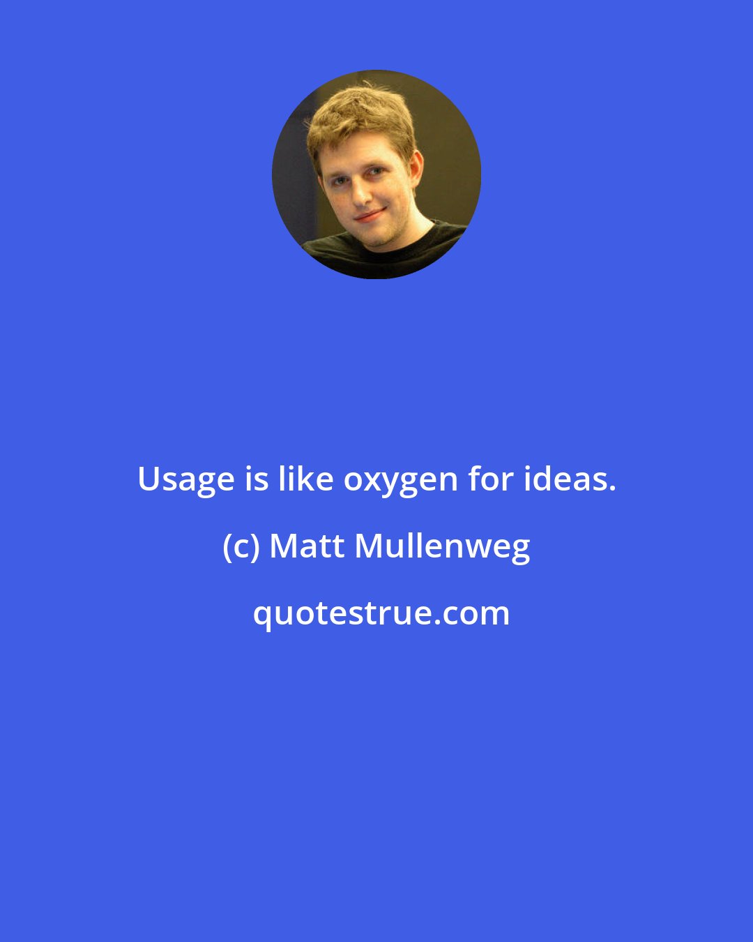 Matt Mullenweg: Usage is like oxygen for ideas.