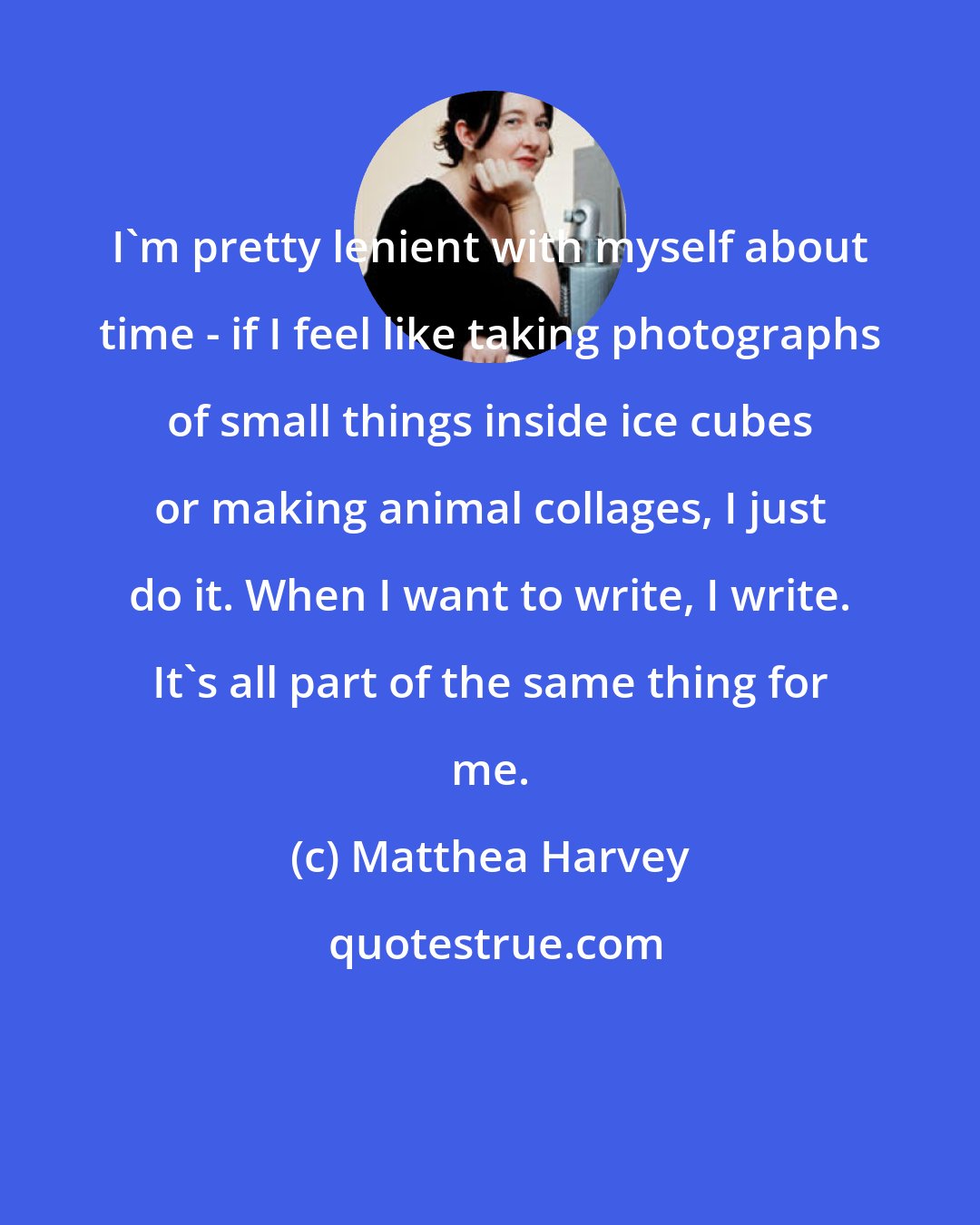 Matthea Harvey: I'm pretty lenient with myself about time - if I feel like taking photographs of small things inside ice cubes or making animal collages, I just do it. When I want to write, I write. It's all part of the same thing for me.