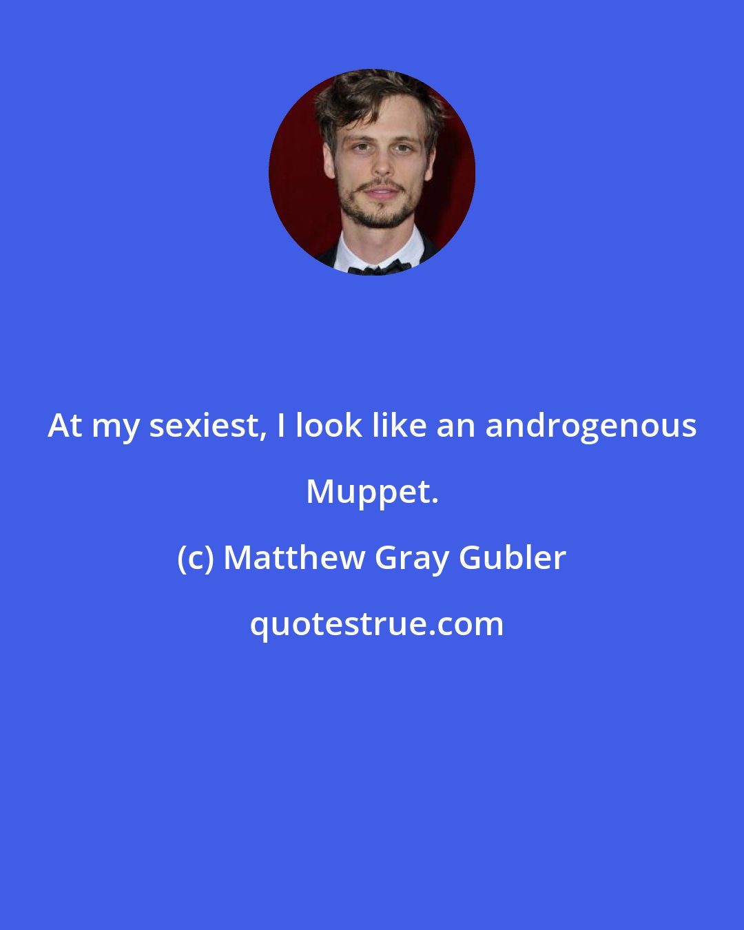 Matthew Gray Gubler: At my sexiest, I look like an androgenous Muppet.