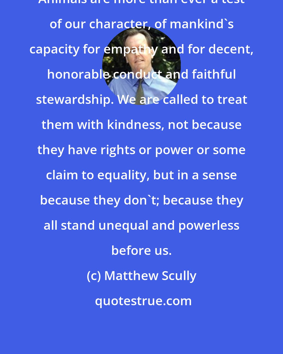 Matthew Scully: Animals are more than ever a test of our character, of mankind's capacity for empathy and for decent, honorable conduct and faithful stewardship. We are called to treat them with kindness, not because they have rights or power or some claim to equality, but in a sense because they don't; because they all stand unequal and powerless before us.