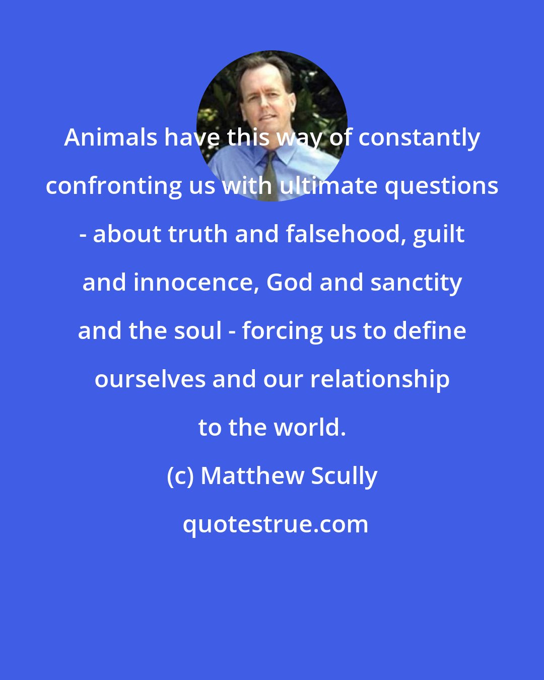 Matthew Scully: Animals have this way of constantly confronting us with ultimate questions - about truth and falsehood, guilt and innocence, God and sanctity and the soul - forcing us to define ourselves and our relationship to the world.
