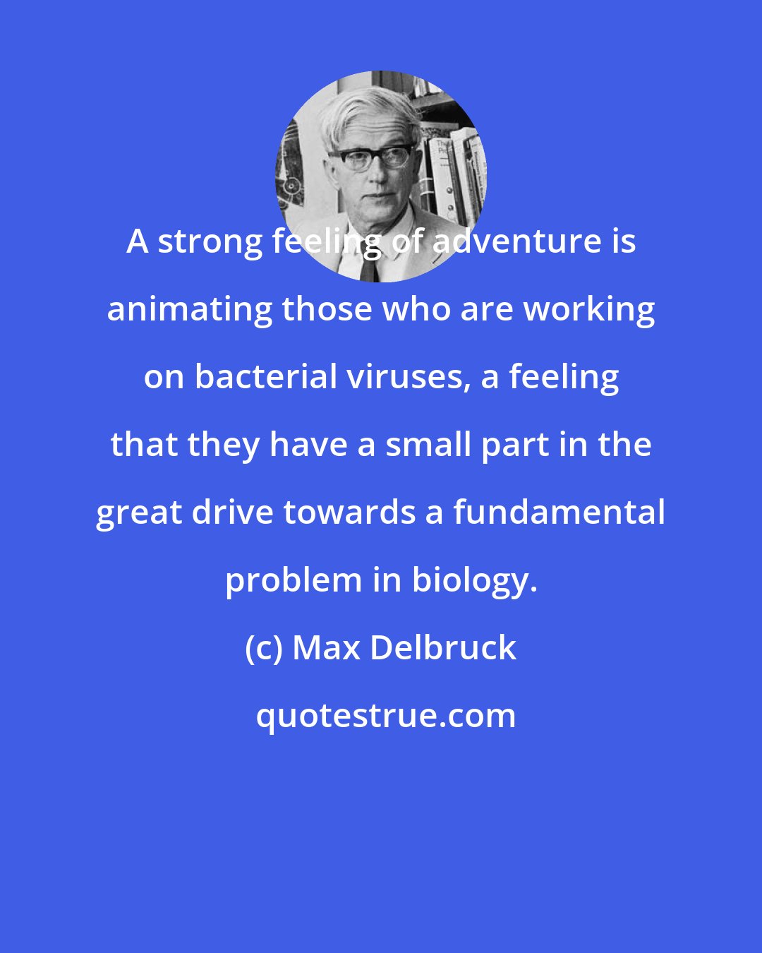 Max Delbruck: A strong feeling of adventure is animating those who are working on bacterial viruses, a feeling that they have a small part in the great drive towards a fundamental problem in biology.