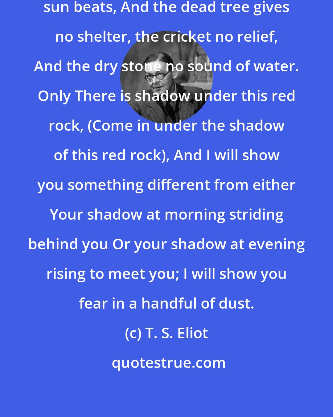 T. S. Eliot: A heap of broken images, where the sun beats, And the dead tree gives no shelter, the cricket no relief, And the dry stone no sound of water. Only There is shadow under this red rock, (Come in under the shadow of this red rock), And I will show you something different from either Your shadow at morning striding behind you Or your shadow at evening rising to meet you; I will show you fear in a handful of dust.