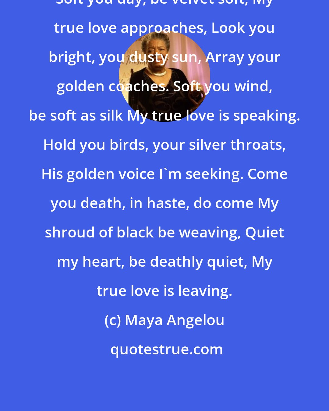 Maya Angelou: Soft you day, be velvet soft, My true love approaches, Look you bright, you dusty sun, Array your golden coaches. Soft you wind, be soft as silk My true love is speaking. Hold you birds, your silver throats, His golden voice I'm seeking. Come you death, in haste, do come My shroud of black be weaving, Quiet my heart, be deathly quiet, My true love is leaving.