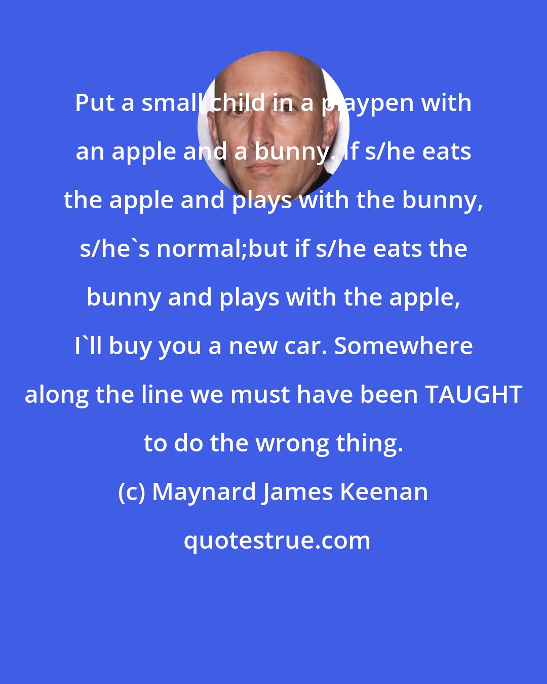 Maynard James Keenan: Put a small child in a playpen with an apple and a bunny. If s/he eats the apple and plays with the bunny, s/he's normal;but if s/he eats the bunny and plays with the apple, I'll buy you a new car. Somewhere along the line we must have been TAUGHT to do the wrong thing.