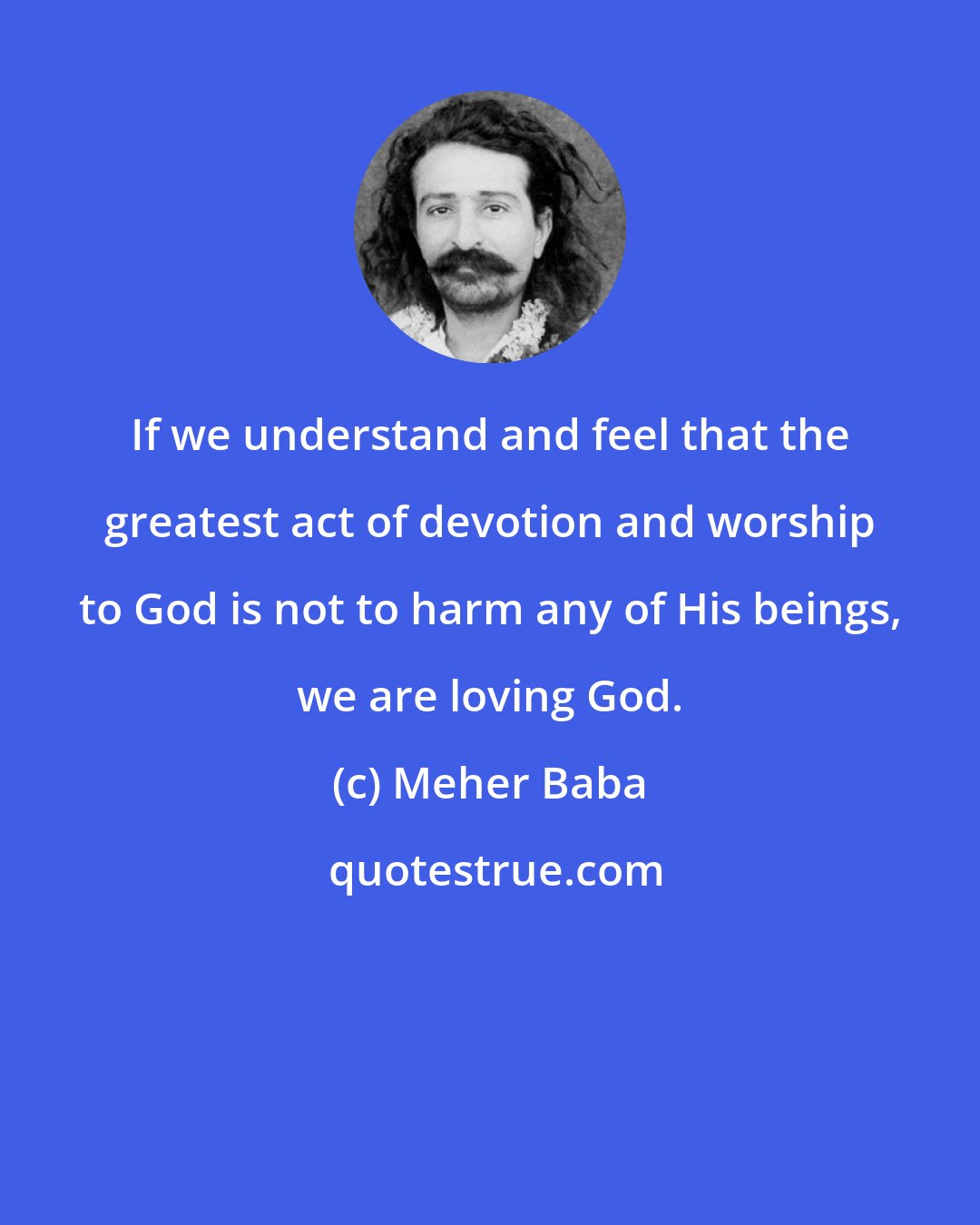 Meher Baba: If we understand and feel that the greatest act of devotion and worship to God is not to harm any of His beings, we are loving God.