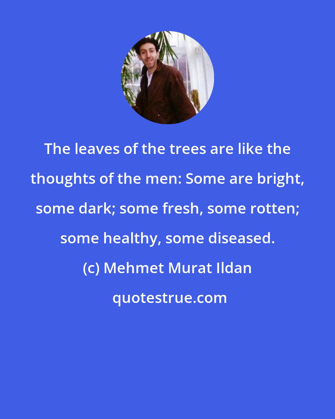 Mehmet Murat Ildan: The leaves of the trees are like the thoughts of the men: Some are bright, some dark; some fresh, some rotten; some healthy, some diseased.