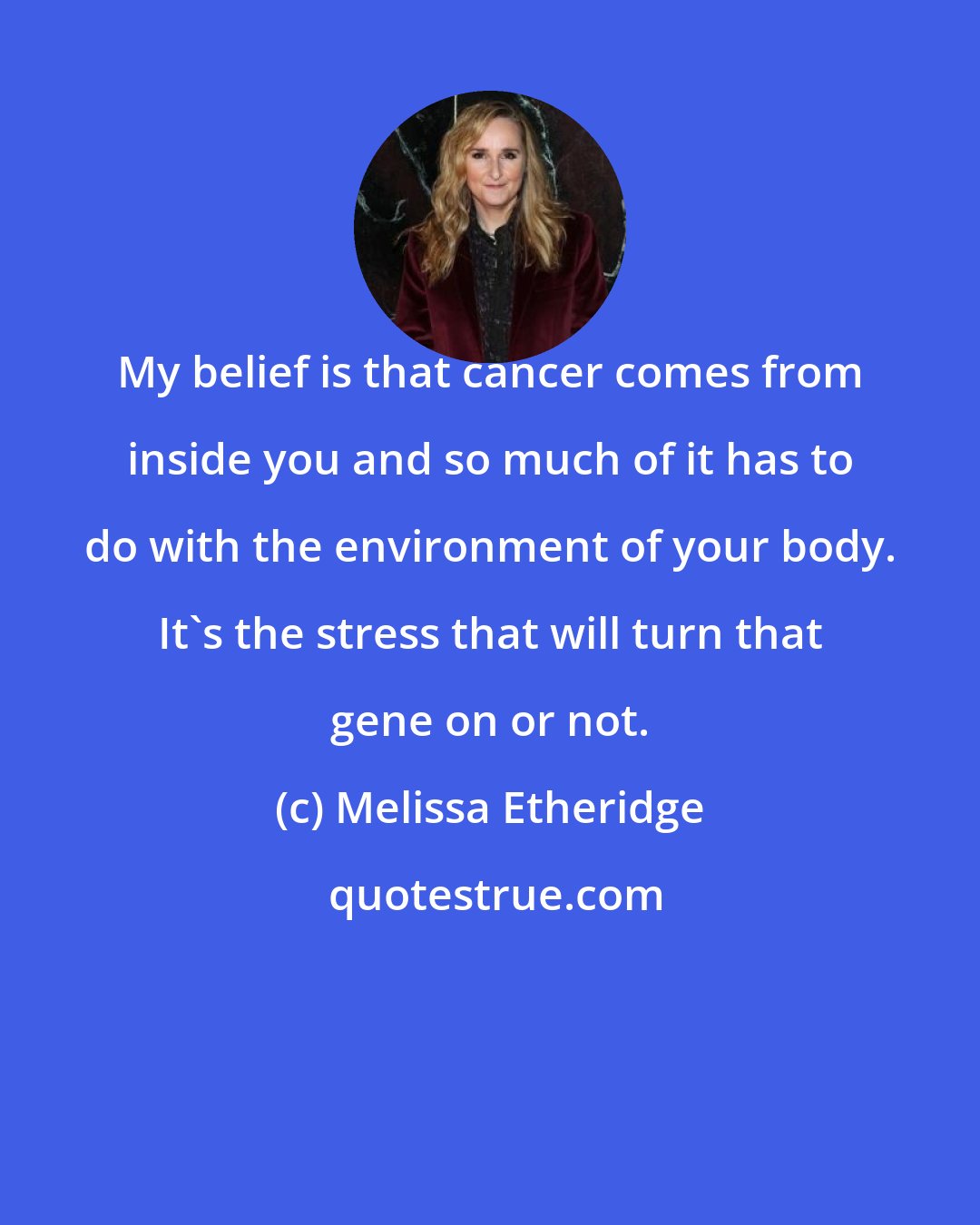 Melissa Etheridge: My belief is that cancer comes from inside you and so much of it has to do with the environment of your body. It's the stress that will turn that gene on or not.