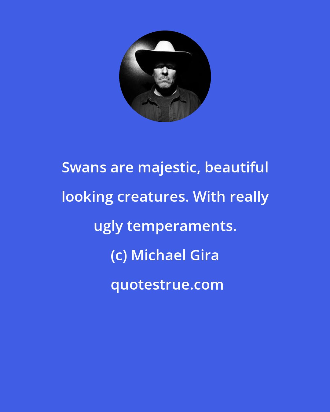 Michael Gira: Swans are majestic, beautiful looking creatures. With really ugly temperaments.