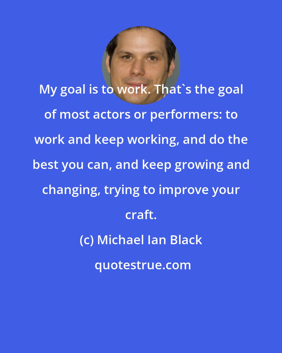 Michael Ian Black: My goal is to work. That's the goal of most actors or performers: to work and keep working, and do the best you can, and keep growing and changing, trying to improve your craft.