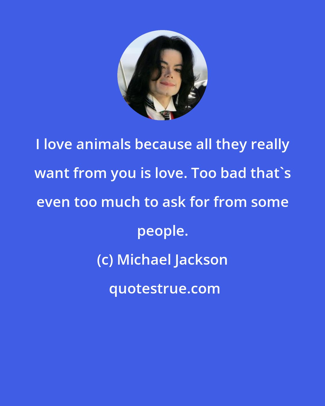 Michael Jackson: I love animals because all they really want from you is love. Too bad that's even too much to ask for from some people.