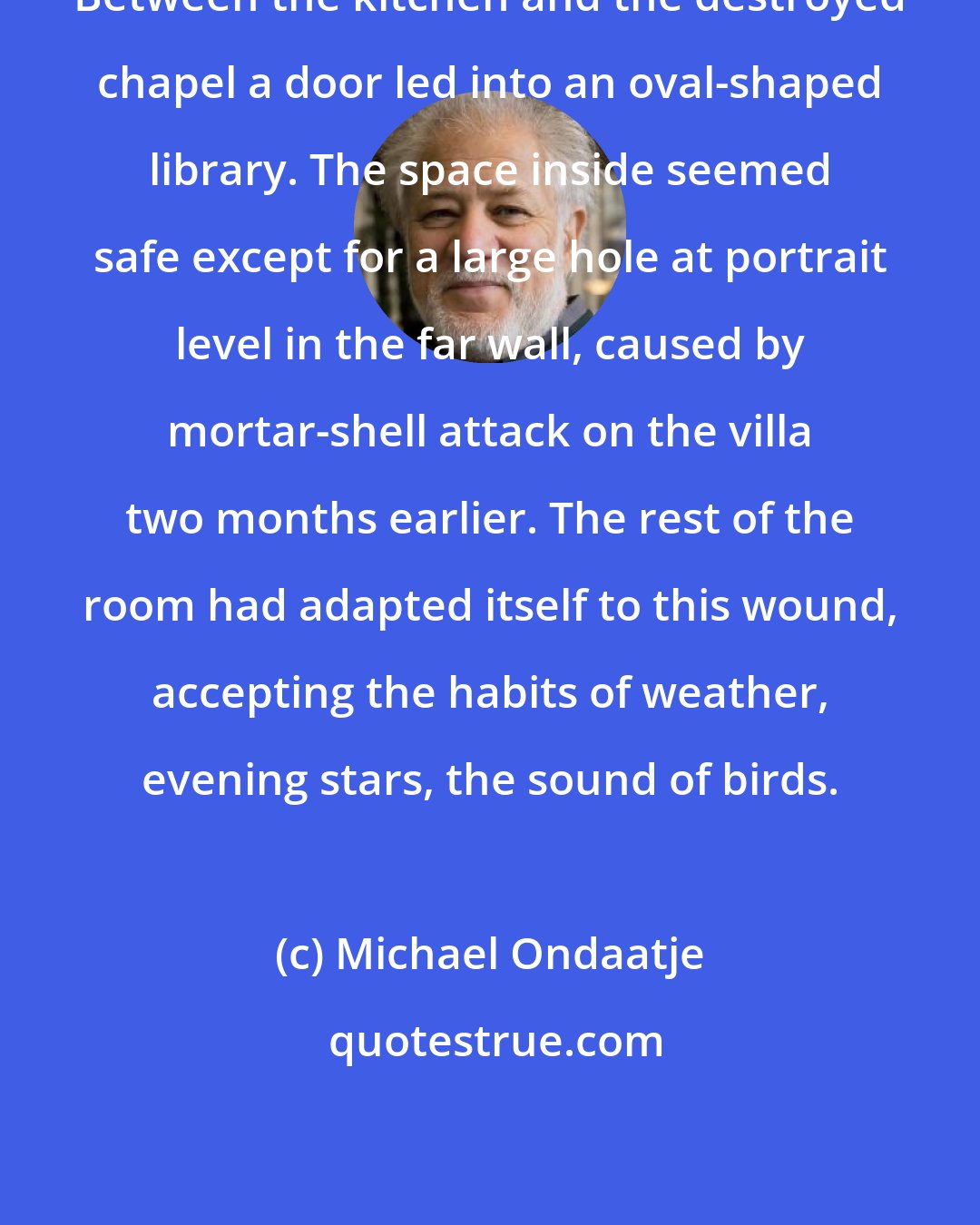 Michael Ondaatje: Between the kitchen and the destroyed chapel a door led into an oval-shaped library. The space inside seemed safe except for a large hole at portrait level in the far wall, caused by mortar-shell attack on the villa two months earlier. The rest of the room had adapted itself to this wound, accepting the habits of weather, evening stars, the sound of birds.