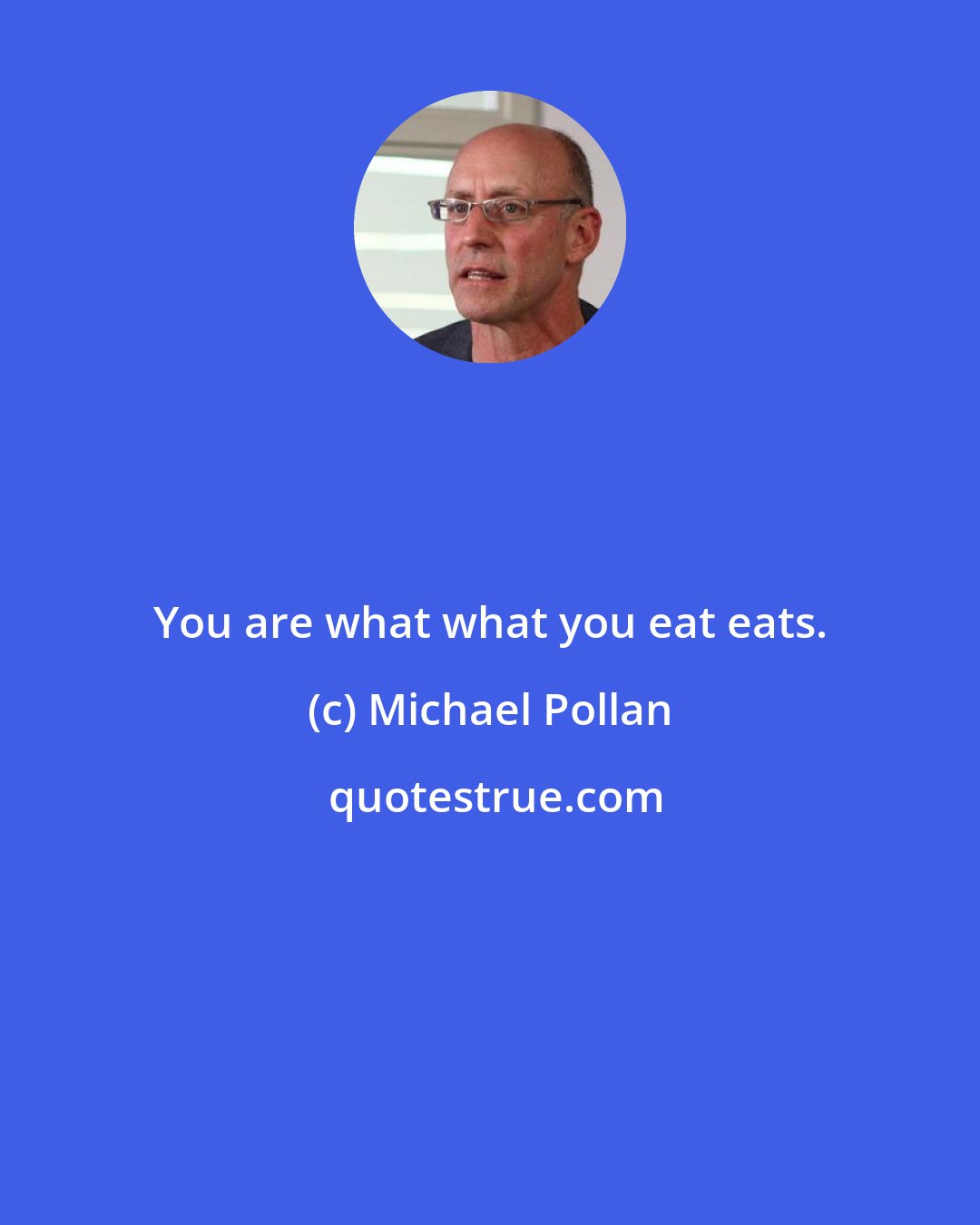Michael Pollan: You are what what you eat eats.